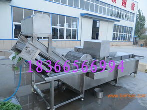 氣泡清洗機 高效清潔的大棗與生姜專業(yè)設備解決方案