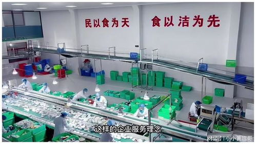 流水線洗碗機(jī) 中小型餐具清洗廠的效率與品質(zhì)革命